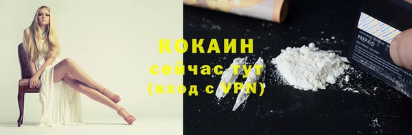 стаф Заводоуковск