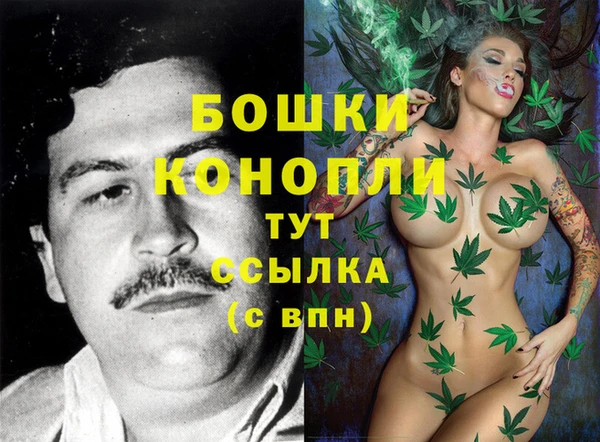 стаф Заводоуковск