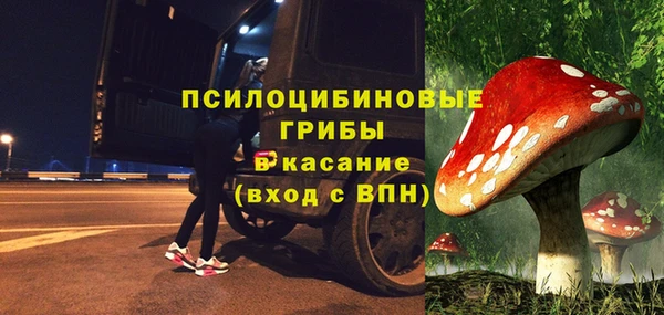 стаф Пенза