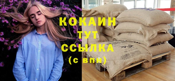 стаф Заводоуковск