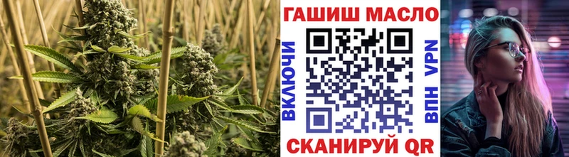 Купить закладки  Новопавловск  Дистиллят ТГК вейп с тгк 